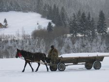 Pferdewagen in Siebenbürgen