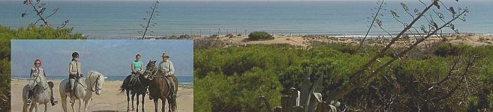 Reiten am Strand